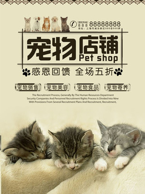 小狐狸钱包|(MetaMask)钱包苹果版